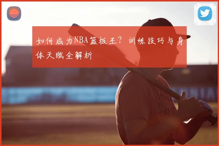 如何成为NBA篮板王？训练技巧与身体天赋全解析